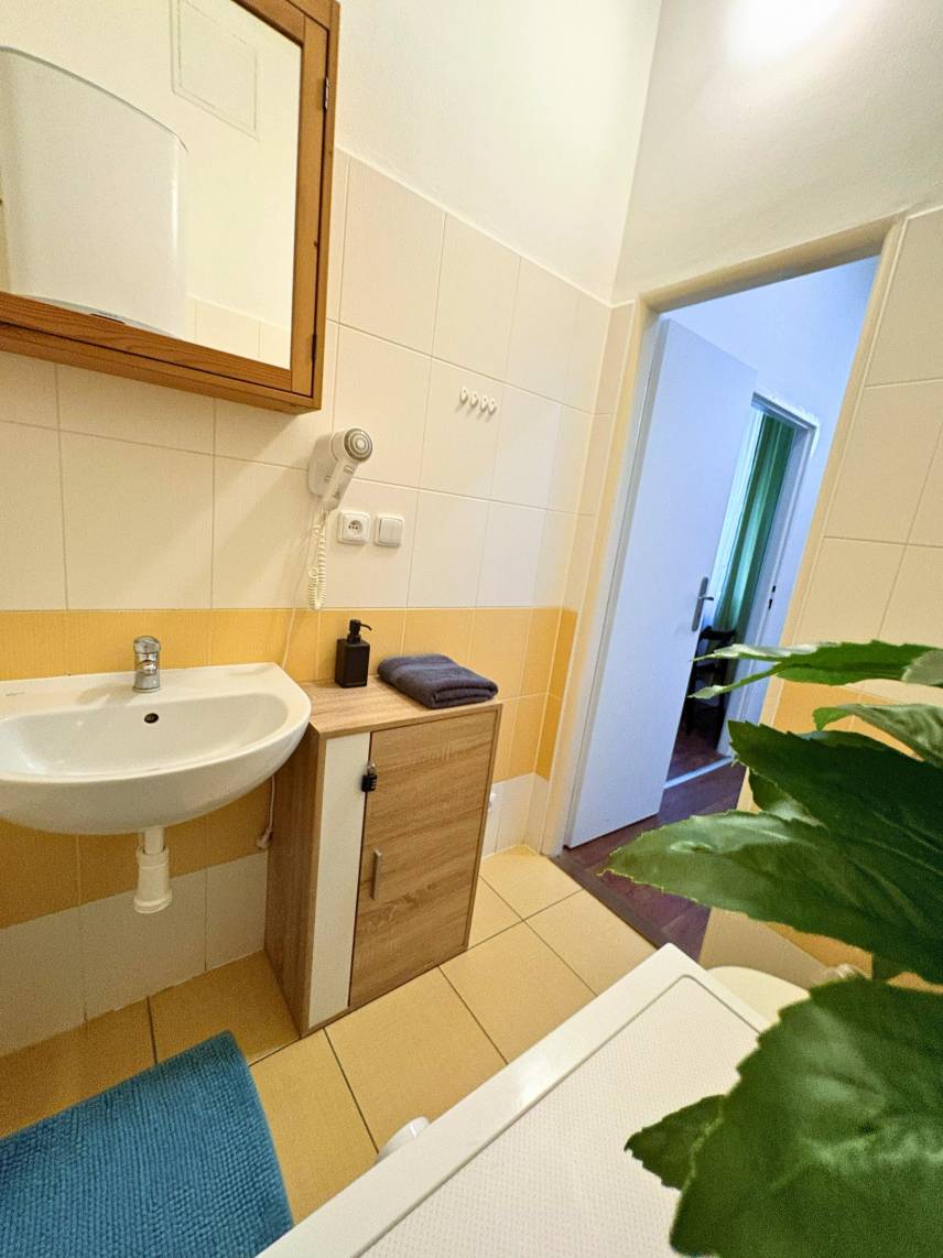 Family and group apartment Photo 12