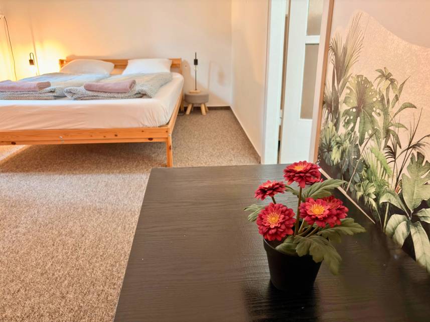BLACK STYLE ROOMS - Studio pro 6 s balkonem v centru Brna Photo 10