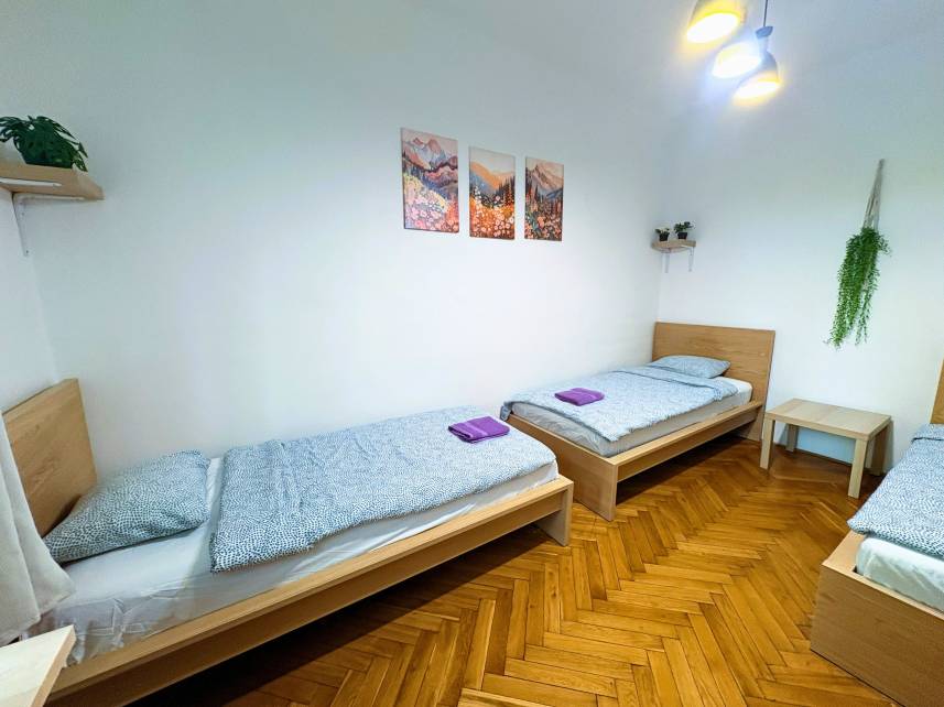 Family and group apartment Photo 1