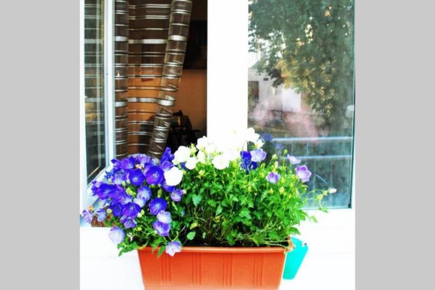 Apartment Vlhka Photo 2