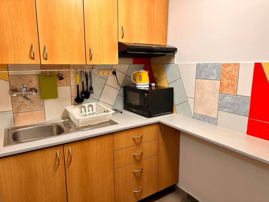 Apartmany Turgenevova - Olomoucka a PARKOVANI Photo 1