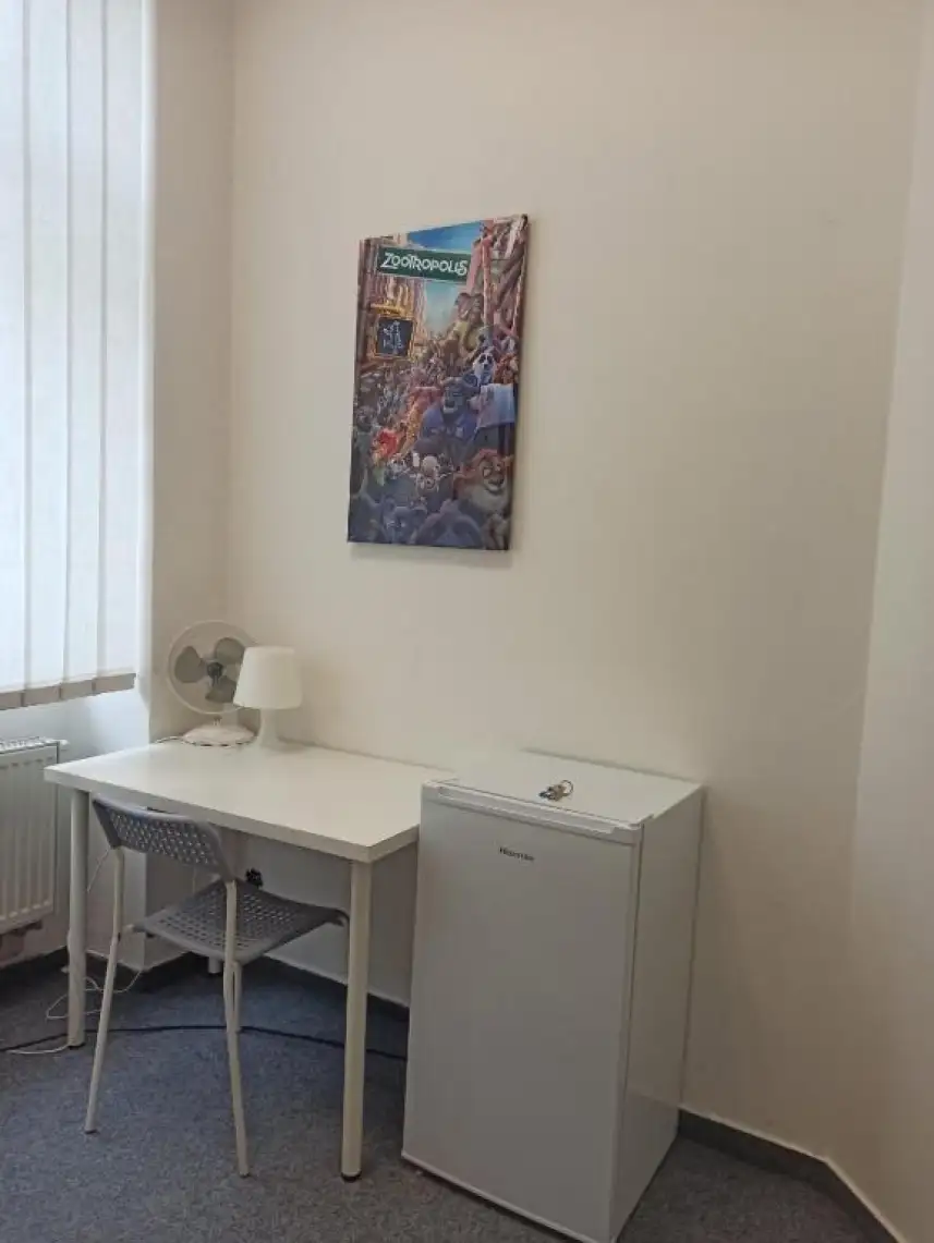 Jednolůžkový pokoj se společnou koupelnou Photo 2