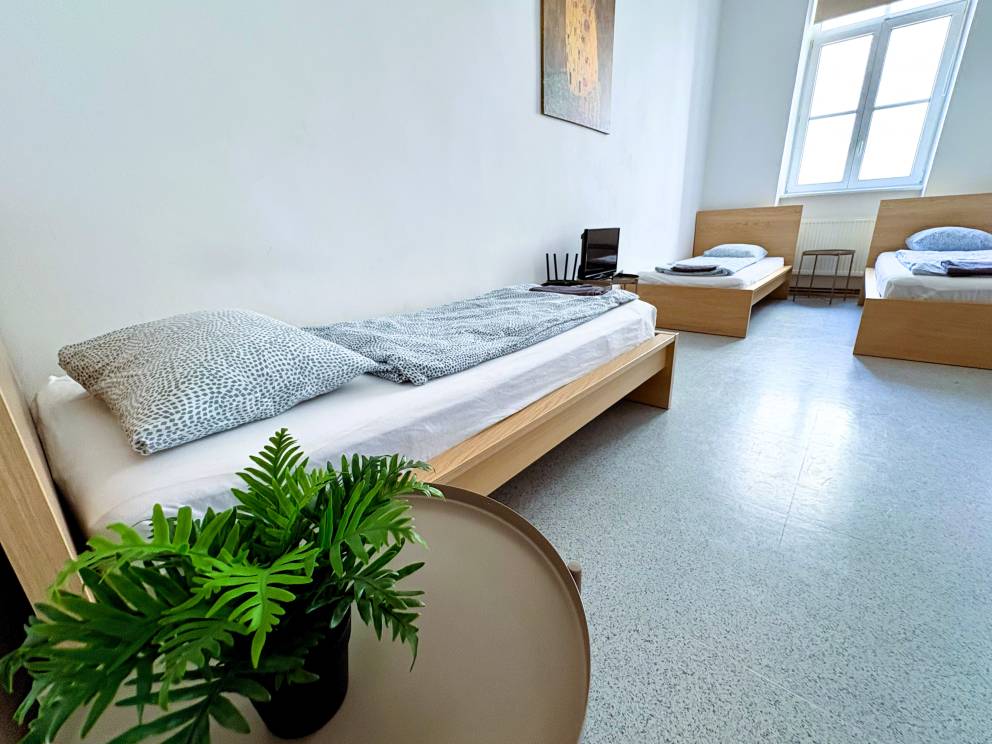 Photo Apartmány v areálu Vlněna