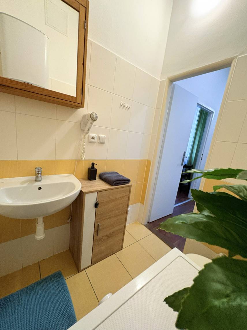 Apartment Vlhká Photo 18