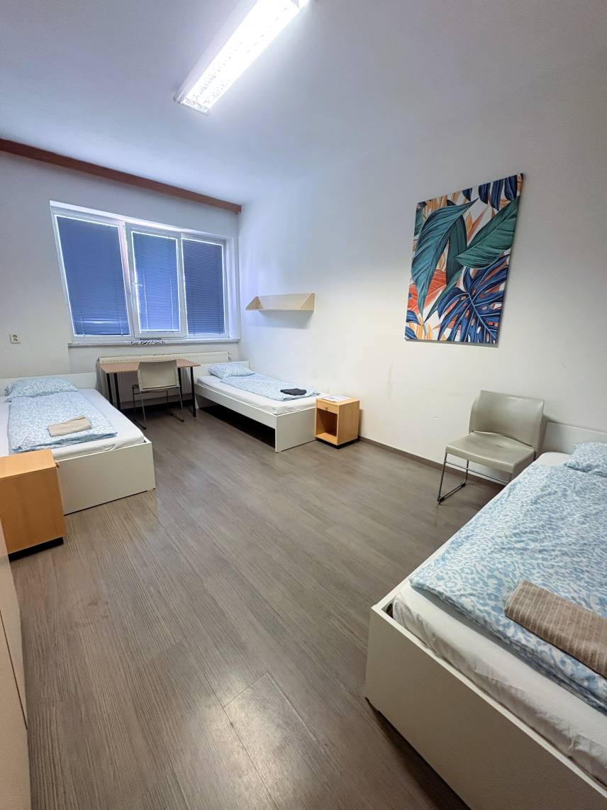 ROOMS Turgenevova - Olomoucka a PARKOVANI Photo 2