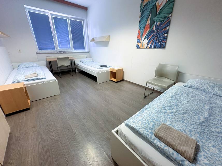 Třílůžkový pokoj Photo 7