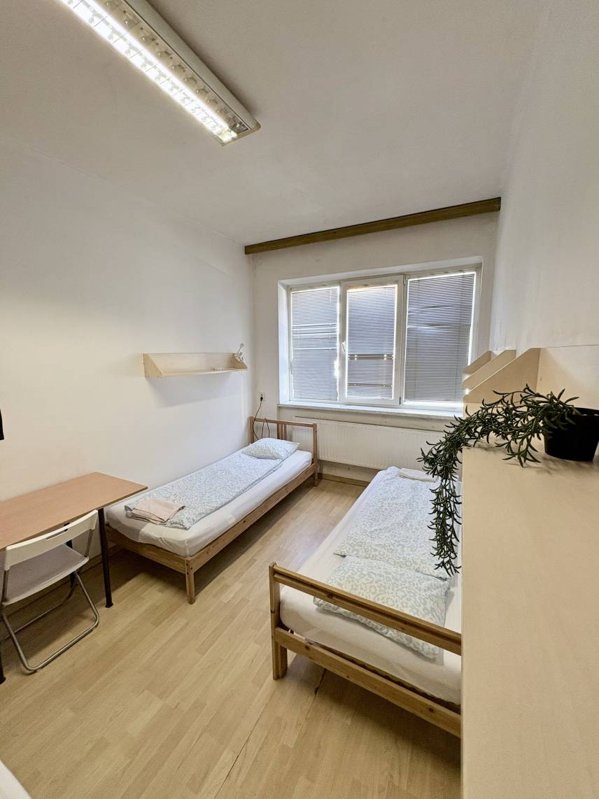Třílůžkový pokoj Photo 18