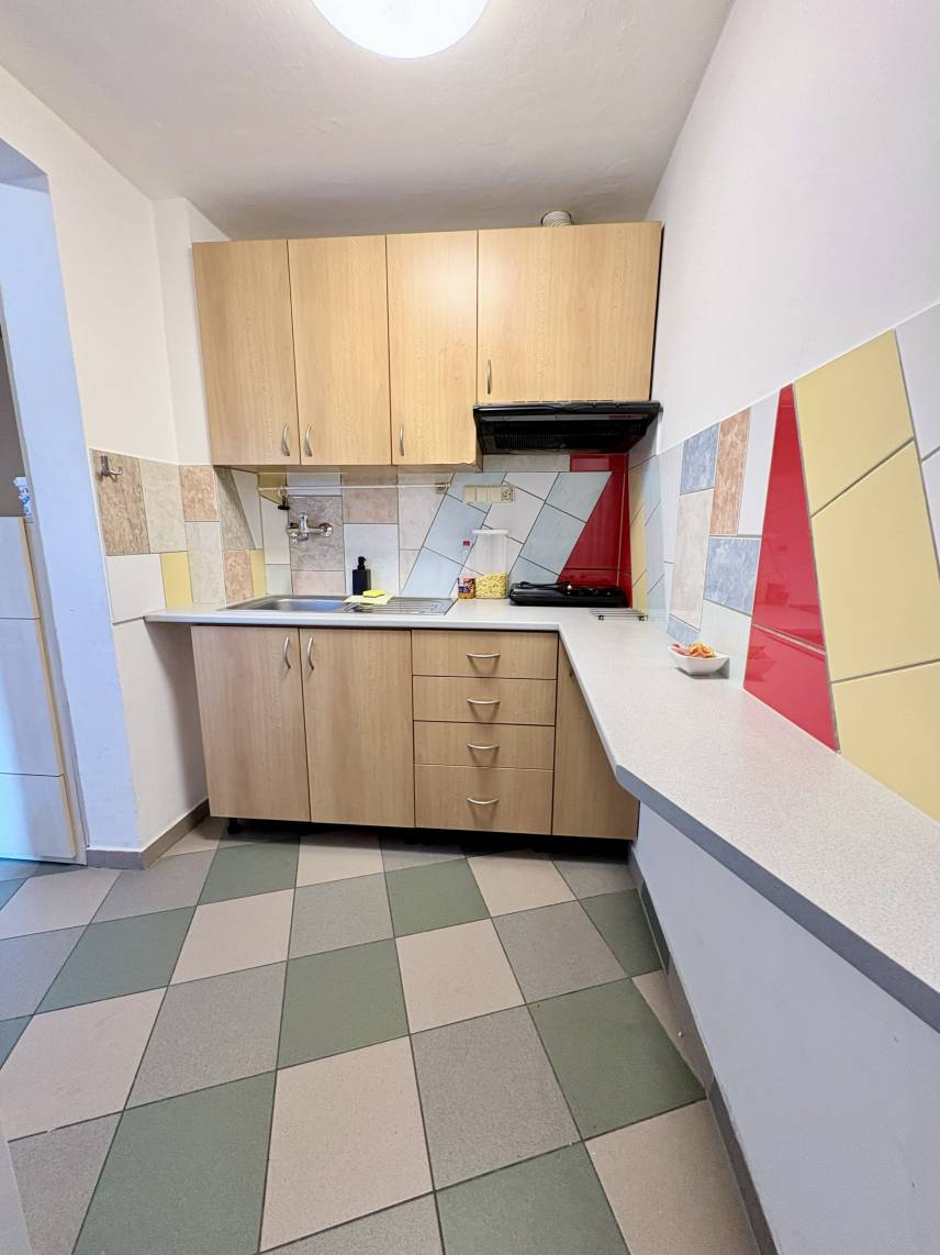 Apartmán s 1 ložnicí a terasou Photo 5