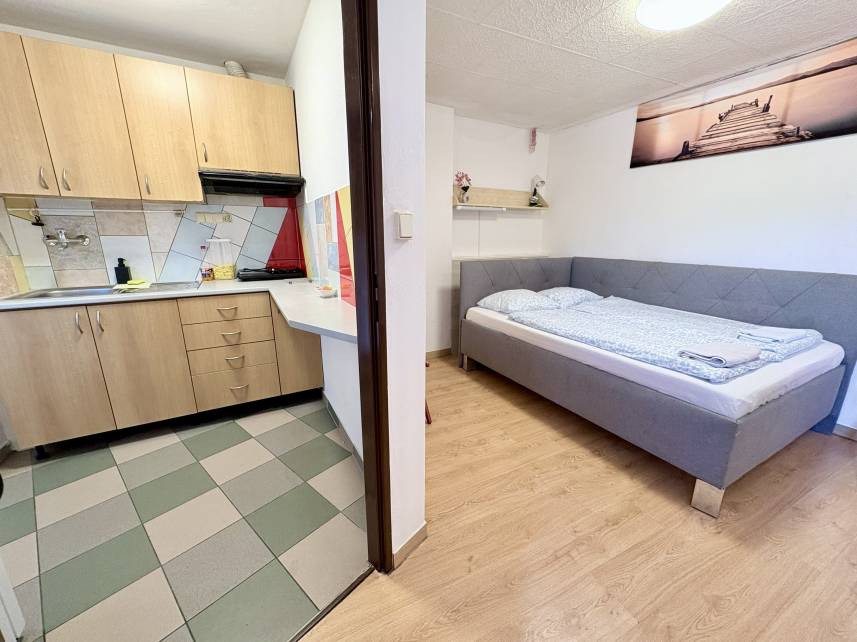 Apartmán s 1 ložnicí a terasou Photo 6