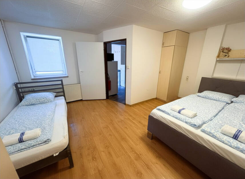 Apartmán s 1 ložnicí a terasou Photo 11