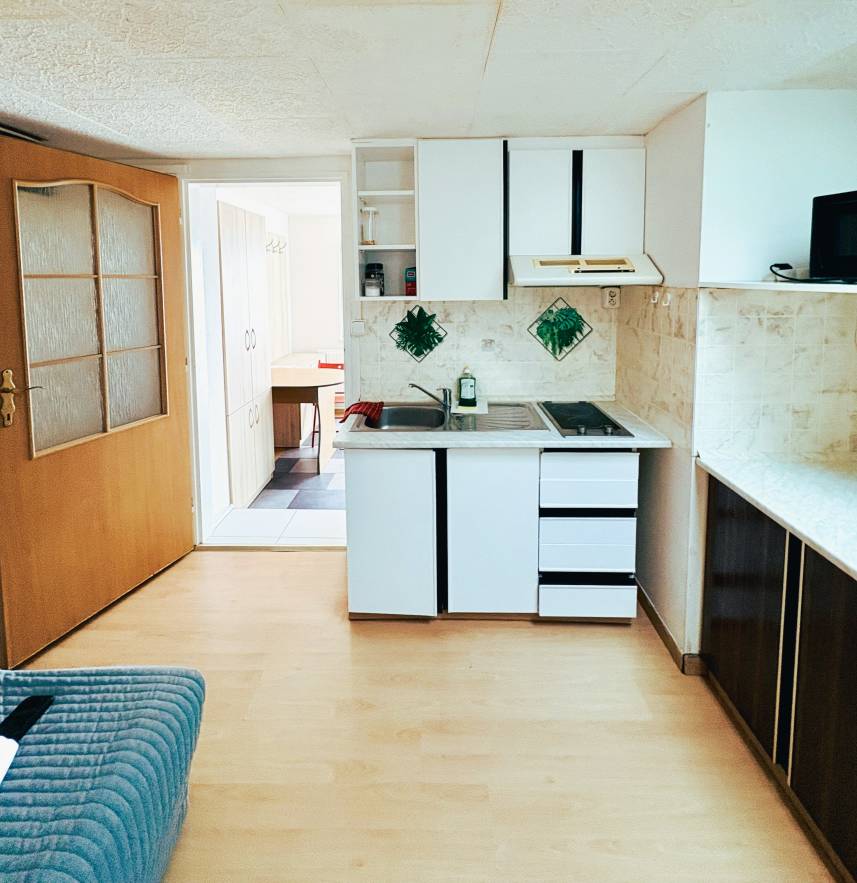Apartmán s 1 ložnicí a terasou Photo 2