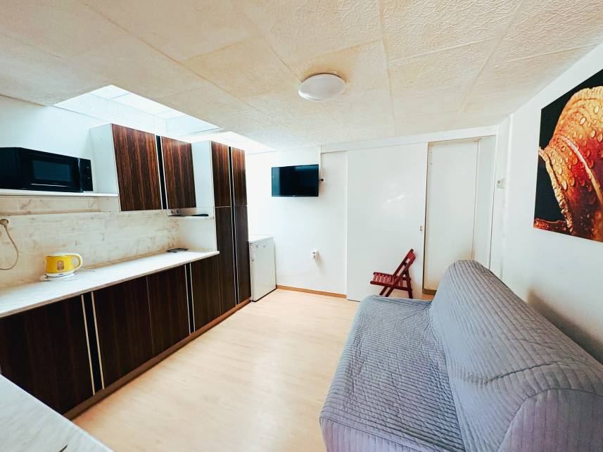 Apartmán s 1 ložnicí a terasou Photo 2