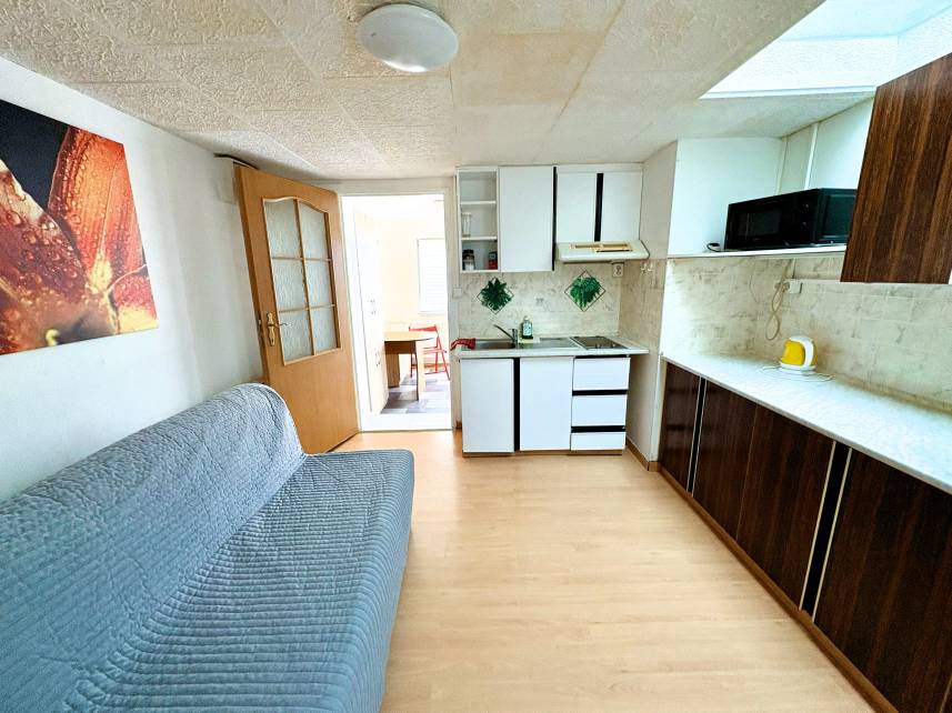 Apartmán s 1 ložnicí a terasou Photo 5