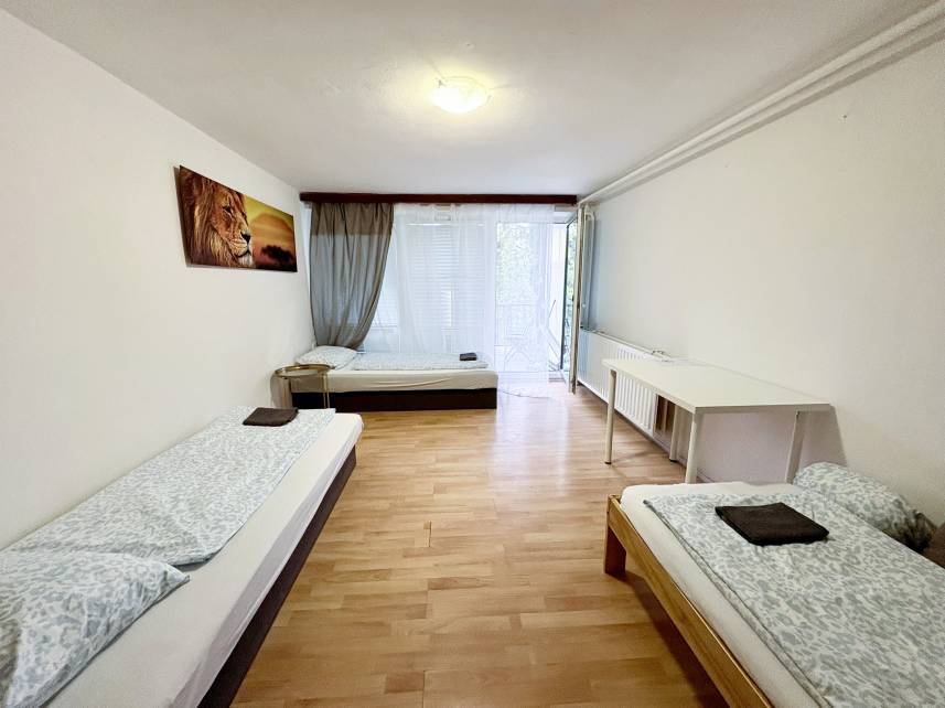 Světlý pokoj s terasou a výhledem do zeleně – kousek od BVV Photo 1