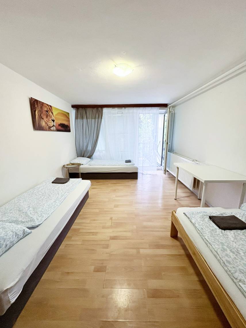 Světlý pokoj s terasou a výhledem do zeleně – kousek od BVV Photo 2