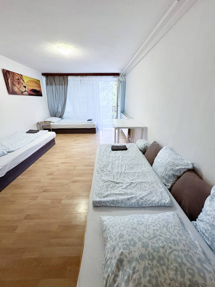 Světlý pokoj s terasou a výhledem do zeleně – kousek od BVV Photo 1