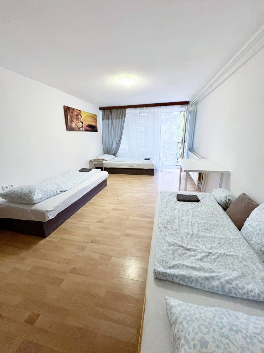 Světlý pokoj s terasou a výhledem do zeleně – kousek od BVV Photo 2