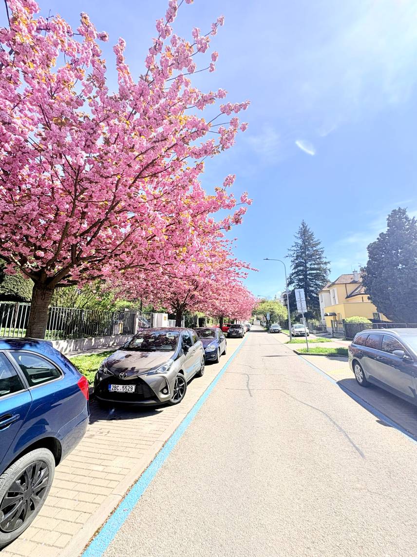 Prostorný třílůžkový pokoj – Skvělá lokalita u BVV Photo 8