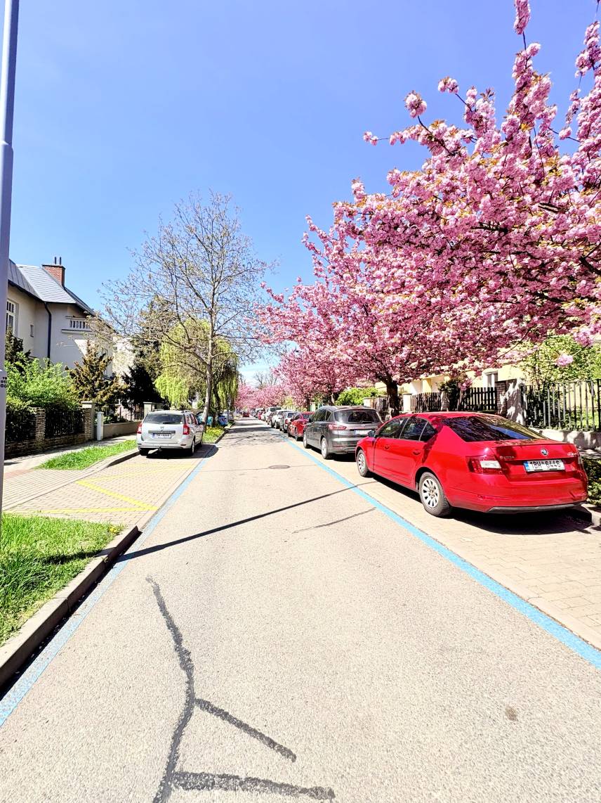 Prostorný třílůžkový pokoj – Skvělá lokalita u BVV Photo 9
