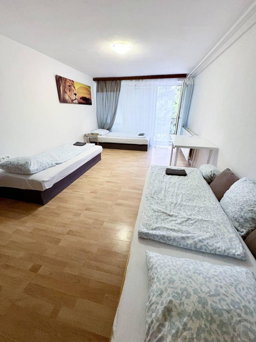 Prostorný třílůžkový pokoj – Skvělá lokalita u BVV (copy) Photo 6