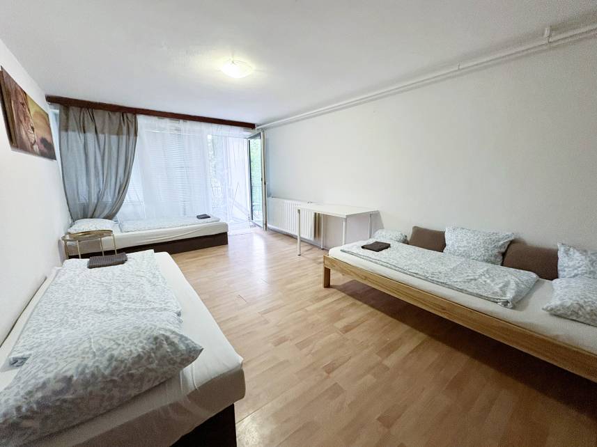 Prostorný třílůžkový pokoj – Skvělá lokalita u BVV (copy) Photo 7