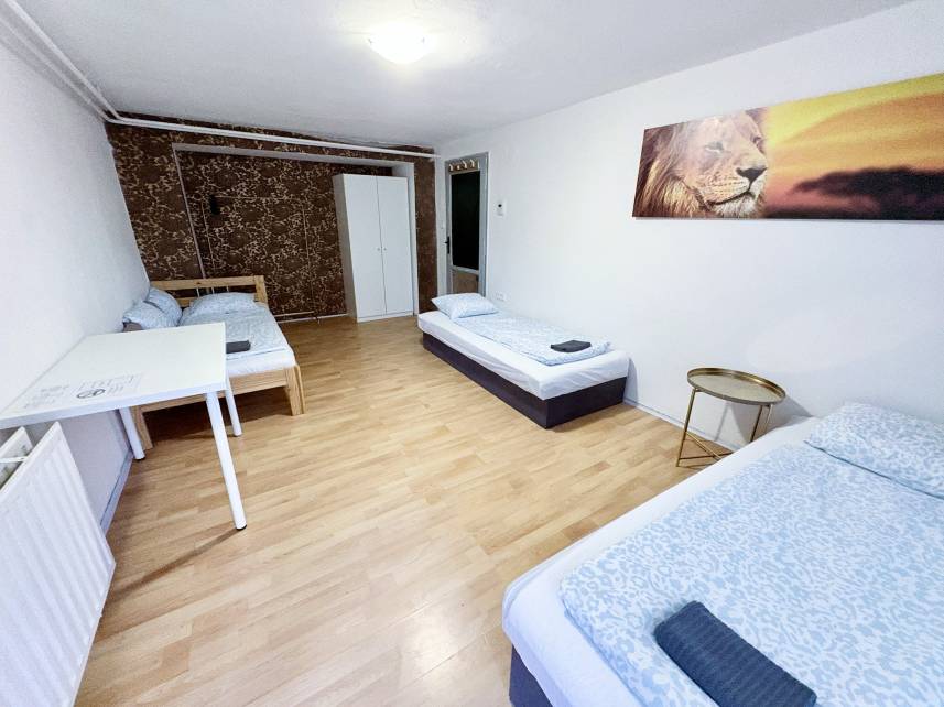 Prostorný třílůžkový pokoj – Skvělá lokalita u BVV (copy) Photo 8