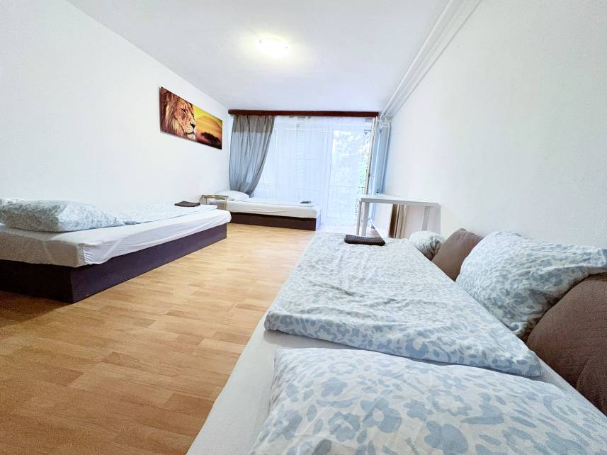 Prostorný třílůžkový pokoj – Skvělá lokalita u BVV (copy) Photo 9