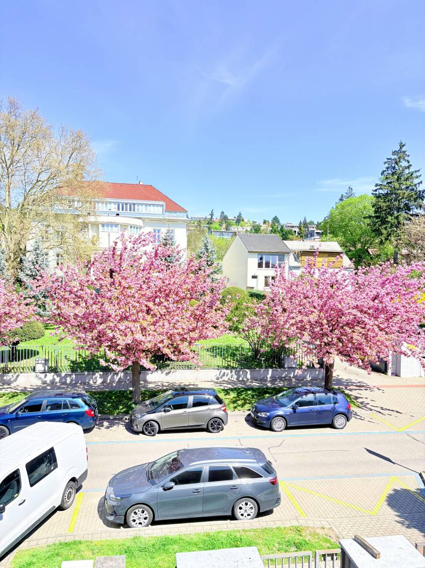 Prostorný třílůžkový pokoj – Skvělá lokalita u BVV (copy) Photo 14