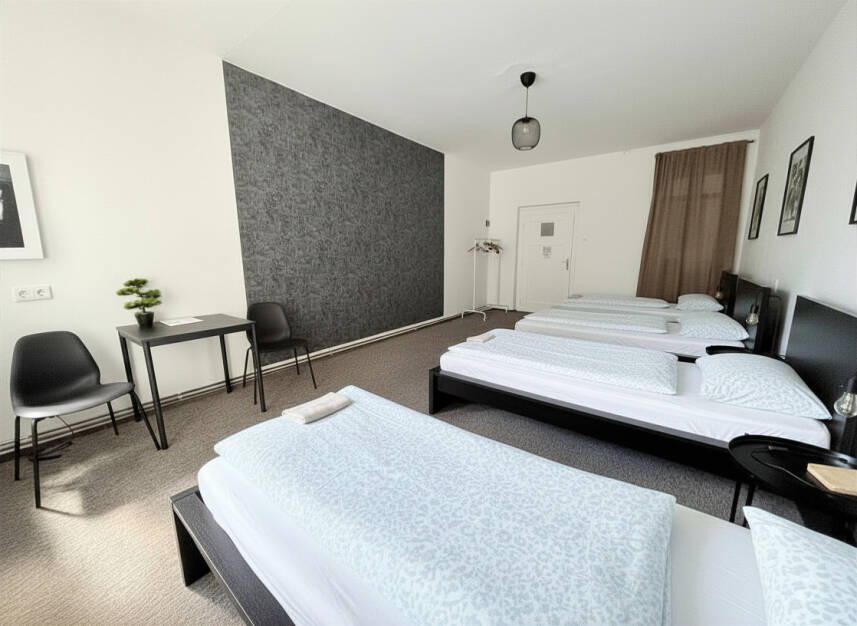 2 - Čtyřlůžkový pokoj s terrasou Photo 5