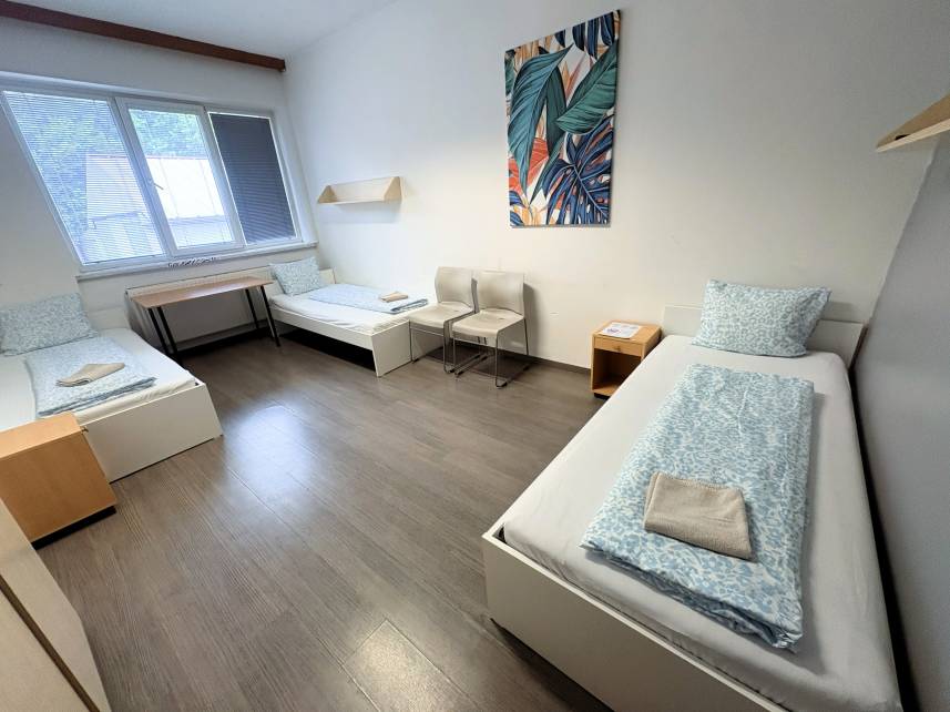 Apartments Turgenevova-Olomoucka with parking Photo 43