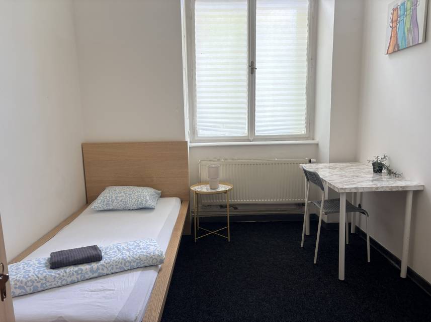 ROOMS Veveří - Úvoz, 10 min pěšky do centra Photo 59